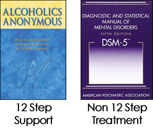 Science or Support? 12 Step vs. Non-12 Step Treatment