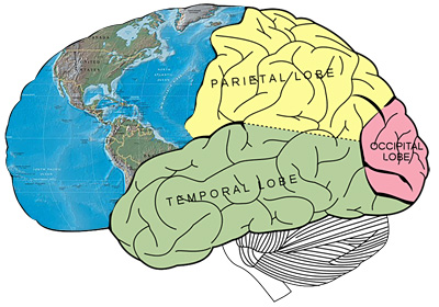 Brain Mapping May Pinpoint the Path to Disease