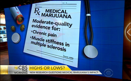 Medical Marijuana Research is Taking a Long Time